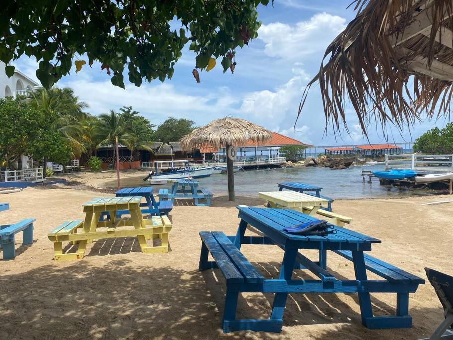 Lush Tropical Apartment Located In A 4-Star Resort Runaway Bay Εξωτερικό φωτογραφία